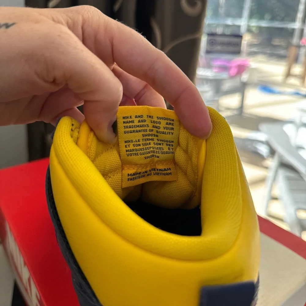 Nike Men's Dunk High‎ Retro SE Michigan Brand New